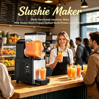 Machine à granita à réservoir unique pour comptoir, contrôle numérique, pour boissons glacées, idéale pour la maison, la cuisine et les fêtes