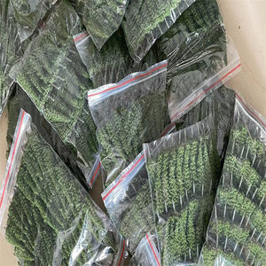 Modelo de Material plástico de 6,5 cm, árboles a escala de pino para arquitectura <span class=keywords><strong>Diama</strong></span>, diseño de tren de simulación de micropaisaje - Product Image 2