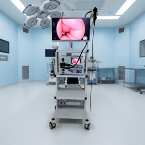 Gastroscopia Electrónica y <span class=keywords><strong>Enteroscopia</strong></span> Electrónica para Mascotas con Endoscopio Rígido con Canal de Trabajo - Product Image 1