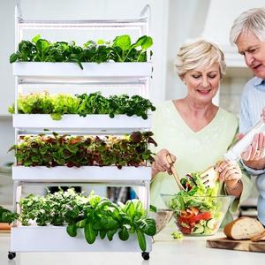 Kit de Equipos Hidropónicos para Cultivo de Lechuga en Interiores, Luces LED de Cultivo para Jardín Vertical con Riego Automático - Product Image 1