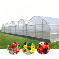 Smart Large Climate Control High Tunnel Greenhouse 30x100 Matériau PE de style chinois utilisé pour l'agriculture Jardin à vendre