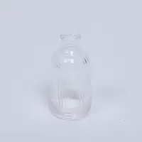 Vas Botol Kaca Minimalis Transparan Murah untuk Ruang Tamu