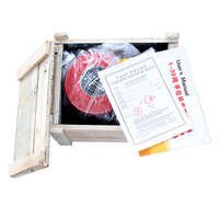Promotion : Palans à chaîne manuels HSZ 1t-5t en acier, personnalisables, outil de levage OEM, prix usine