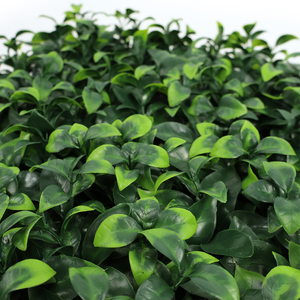 Panneaux muraux de <span class=keywords><strong>haie</strong></span> de buis artificiels 50*50cm Eco PE-Fausse <span class=keywords><strong>haie</strong></span> verte pour une intimité instantanée - Product Image 3