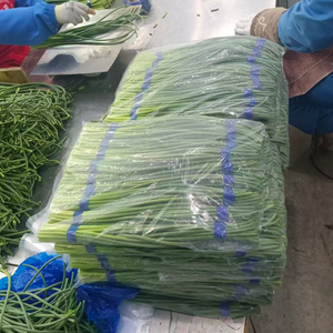 <span class=keywords><strong>Ail</strong></span> frais certifié GLOBAL GAP HACCP, tiges d'<span class=keywords><strong>ail</strong></span> en vrac, expédition en chaîne du froid, vente en gros pour supermarchés, provenant du Shandong, Chine - Product Image 3