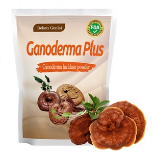 Tienda Mayorista de Polvo de <span class=keywords><strong>Ganoderma</strong></span> Plus OEM - Product Image 1
