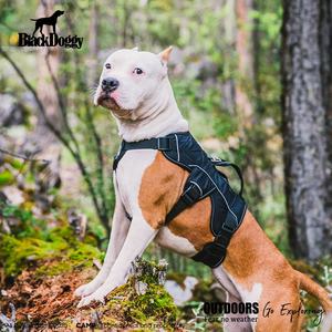 Atacado para perros roupa de vestuário, colete de roupas resistente para <span class=keywords><strong>greyhound</strong></span> - Product Image 2