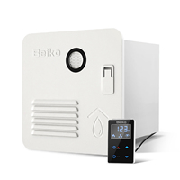Chauffe-eau au gaz GPL 10L DC 12V pour caravanes, camping-cars, 2.9GPM 69000BTU, design élégant et compact, en acier inoxydable, à évacuation forcée