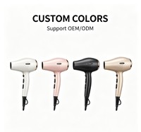 Sèche-cheveux professionnel à moteur AC 2400W, faible bruit, séchage rapide, pour salon, hôtel, extérieur, haute puissance, vente chaude