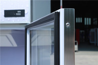 Réfrigérateur commercial à refroidissement par air, vitrine réfrigérée pour boissons, armoire à boissons pour supermarché et école