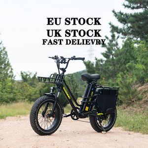 KOOLUX 2026 Nouveau Vélo Électrique Pliant Tout-Terrain à Pneus Larges 20 Pouces Moteur Sans Balais 250W Freins à Disque 45km/h pour Adultes - Product Image 2