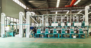 Fraiseuse <span class=keywords><strong>de</strong></span> <span class=keywords><strong>farine</strong></span> <span class=keywords><strong>de</strong></span> blé 20 <span class=keywords><strong>T</strong></span>/24H industrielle entièrement automatique - Product Image 6