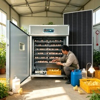 Incubateur d'œufs solaire 528 places avec contrôle automatique de la température, taux d'éclosion élevé, pour l'élevage avicole en ferme