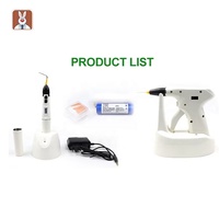Système de remplissage Équipement dentaire pour le traitement endodontique Traitement du canal radiculaire dentaire Stylo de remplissage de gel dentaire et ensemble de pistolet de remplissage