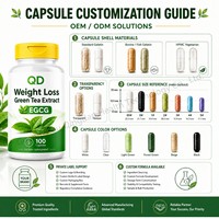 Capsules d'extrait de thé vert EGCG végétaliennes non-OGM, directement de l'usine, pour la perte de poids chez l'adulte - Complément alimentaire 100 capsules/flacon OEM