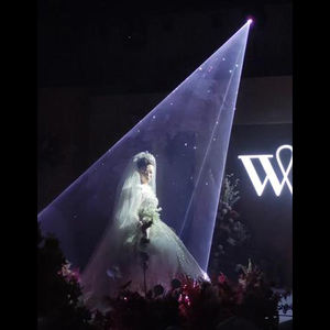 10W 15W 20W RGB Boda Láser Celebración Fiesta Etapa Láser para Evento de Boda - Product Image 3