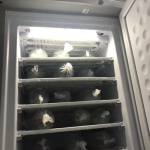 6.99 pieds cubes Machine à glaçons verticale à énergie solaire Machine à glaçons 24V Congélateur - Product Image 5