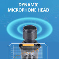 Microphone sans fil double dynamique portatif, portée de 50 m/164 pieds, autonomie de 6 à 8 heures pour karaoké, réunion, fête, église, DJ, KTV