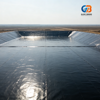 Géomembrane HDPE 1 mm, feuille d'étanchéité 0,5 mm résistante aux UV pour bassin à poissons, aquaculture, réservoir, canal, décharge sanitaire