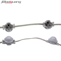 Luz LED de Píxeles Redonda Navideña Permanente de 30 mm RGB RGBW UCS1903 UCS2904, Fuente de Luz Puntual LED de Píxeles para Exteriores Resistente al Agua