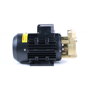 Fabricante Chino de Bomba de Circulación de Agua y Aceite Caliente de Alta Calidad SUS304 para Sistema de Control de Temperatura Aulank - Product Image 4