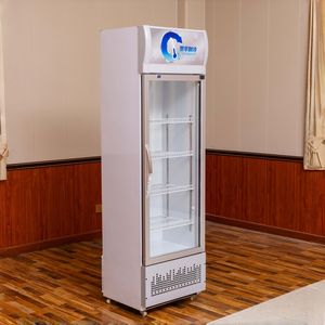 Enfriador <span class=keywords><strong>de</strong></span> Aire Comercial para Supermercados, para Bebidas como Coca-Cola, Pepsi y Otras, Refrigerador Exhibidor para Heladerías - Product Image 6