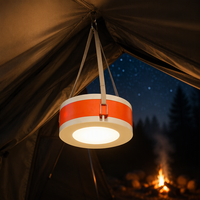 Großhandel Tragbare Solar-LED-Campinglaterne 2000mAh USB Wiederaufladbar Wasserdicht Outdoor-Notlicht für Wandern OEM