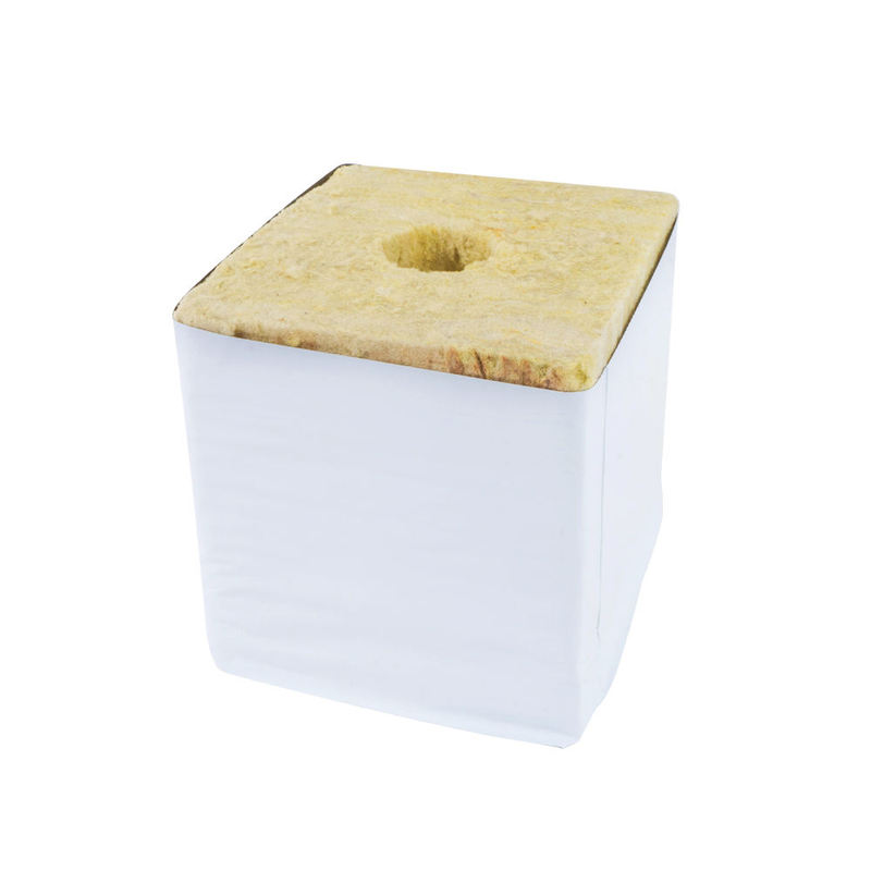 6 Inch Growing Rock Wool Cubes