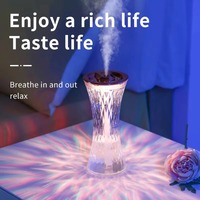 Humidificateur d'air à lumière ambiante tactile en verre chaud, veilleuse, verre transparent, rose, diamants 3D, cristal, lampe de table LED