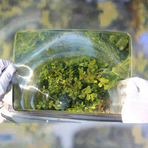 Lente <span class=keywords><strong>Fresnel</strong></span> de eliminación de punto ciego de diseño personalizado Longitud focal de 508mm para casilleros inteligentes - Product Image 6