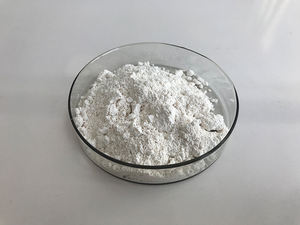 CAS 30881-23-3, многофункциональный ингредиент по уходу за кожей, 98% порошок ацетил зингерон - Product Image 2