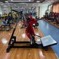 Machine professionnelle de squat debout avec profondeur réglable, pour la musculation et l'entraînement de force