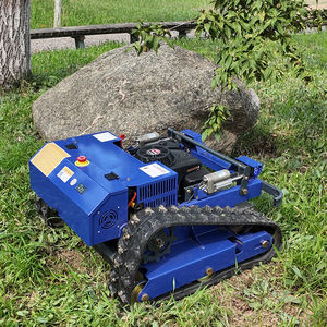 <span class=keywords><strong>Tondeuse</strong></span> à gazon télécommandée de qualité industrielle, populaire, à moteur diesel 9 CV, tout-terrain, pour l'agriculture européenne et les pâturages ondulés - Product Image 3