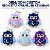 Porte-clés en peluche personnalisé Hibou Étoile Néon, Cadeau promotionnel pour casino, Service de conception sur mesure, Direct usine, Personnage original, OEM ODM