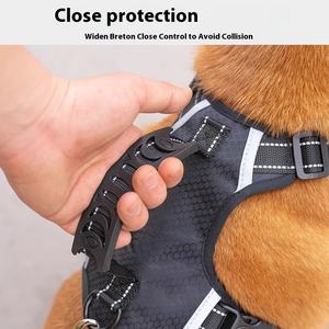 Conjunto de correa para perro pequeño Patrón sólido de moda Características personalizadas Neopreno Material de poliéster Botón Conjunto de Correa y Collar para perro - Product Image 4