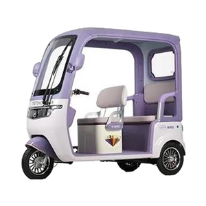 Tricycle électrique à toit ouvert Metropolis, moteur 60 volts 650W, 3 places, certifié CCC, matériau en acier, capacité de charge utile - Product Image 1