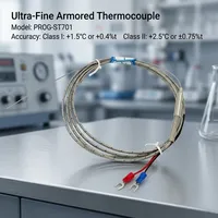 Thermocouple blindé miniature PROG-ST701-2 de type K/N/S/R/B pour la mesure de température industrielle