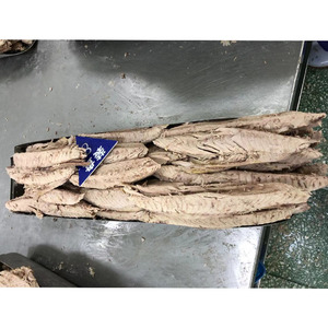 Frozen Skipjack di tonno surgelato, fornitore di tonni strizzacervelli precotti - Product Image 5