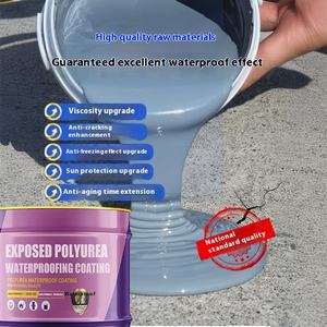 Revestimiento Impermeable <span class=keywords><strong>de</strong></span> <span class=keywords><strong>Poliurea</strong></span> para <span class=keywords><strong>Piscinas</strong></span> Modernas, Resistente al Cloro, al Agua Salada, Ecológico y Resistente a los Rayos UV - Product Image 6