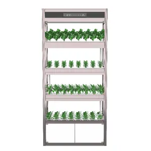 Gabinete de cultivo de vegetales Equipo de sistema de cultivo sin suelo para interiores Gabinete de cultivo de vegetales multicapa hidropónico