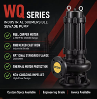 Pompe submersible anti-colmatage série WQ, pompe électrique submersible en fonte pour eaux usées, pour le rejet des eaux usées, OEM