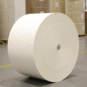 100% phân hủy sinh học chống ẩm dung dịch tráng cốc giấy và cuộn nước dựa trên không có <span class=keywords><strong>PE</strong></span> hoặc nhựa cho bao bì công nghiệp - Product Image 4