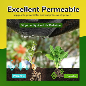 Di alta qualità PP tessuto tessuto paesaggio Anti-erba erbaccia controllo plastica copertura del suolo tappetino per serra PE materiale - Product Image 4