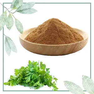 Natural Parsley Extract Cilantro Extract Parsley Leaf Extract Powder