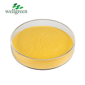 Бесплатный образец <span class=keywords><strong>Wellgreen</strong></span>, добавка китайского сырья, коэнзим Коэнзим Q10, порошок оптом - Product Image 2