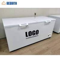 Congélateur coffre horizontal à ouverture par le haut de grande capacité (152L-1000L)