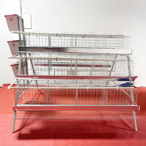 Sistema de Jaulas para Gallinas Ponedoras de Bajo <span class=keywords><strong>Precio</strong></span> con 3-4 Niveles y Capacidad para 96-160 Aves para Granja de Cría - Product Image 3