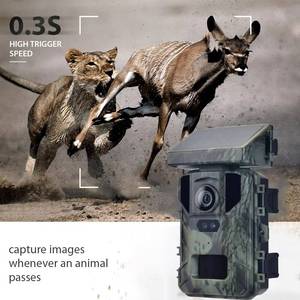 Nouvelle arrivée <span class=keywords><strong>SuntekCam</strong></span> : Caméra de chasse 4K 50MP à charge solaire, étanche, avec vision nocturne, piège photo Mini800S - Product Image 4
