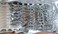 Lot en gros de disques durs SAS 2,5 pouces 900 Go 12 Gb/s 15K tr/min 256 Mo de cache pour serveur d'entreprise ST900MP0006