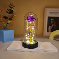 Rose éternelle avec lumières LED, acrylique et plastique, nouveau dôme en verre galaxie pour mariage, Noël, salon, emballé dans une boîte cadeau